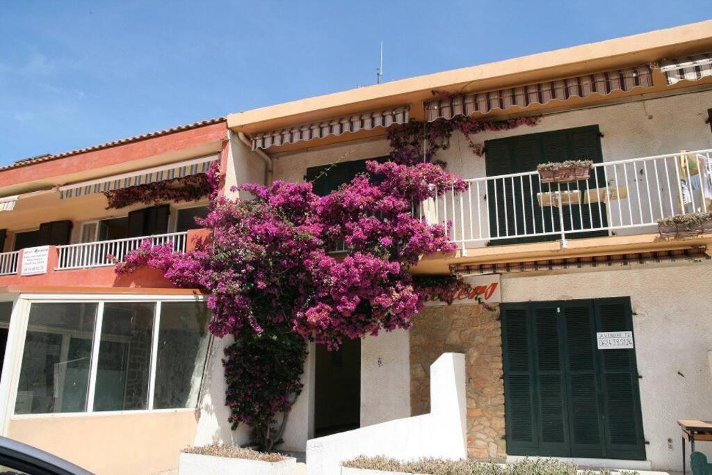 Appart Hyeres-Presqu'Ile De Giens-La Capte Екстериор снимка
